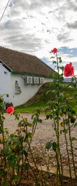 Joóbarát Vendégház Siklós