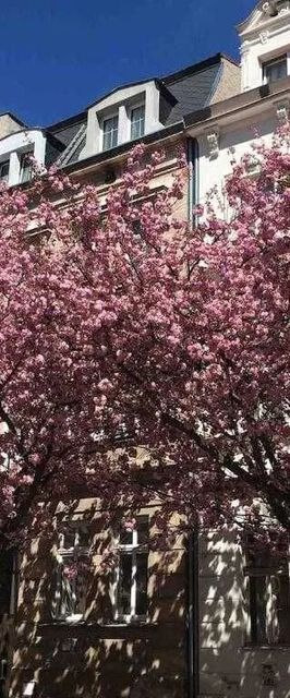 Apartmány Jízdárenská Karlovy Vary