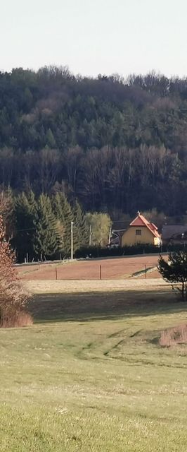 Lugosvölgyi Vendégház Kondorfa