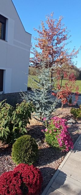 Csigaház Apartman Badacsonytomaj