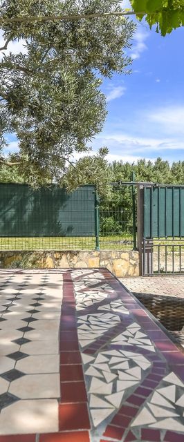 Apartment Saša Kastel Luksic