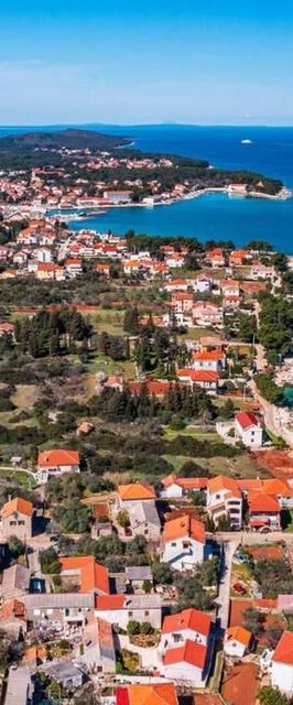 Apartment Serđa Ugljan