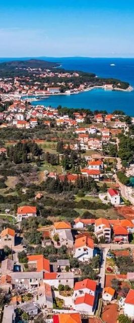 Apartment Serđa Ugljan