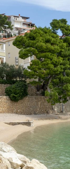 Apartments Beach Dream Mimice