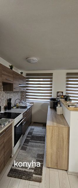 Szőlőfürt Faház Vásárosnamény