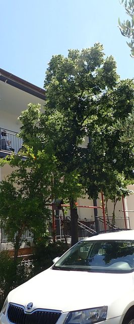 Apartments Lucija Starigrad Paklenica