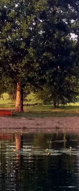 Domek Letniskowy Konopki Wielkie