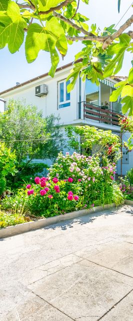 Apartments Mrijana D Barbat