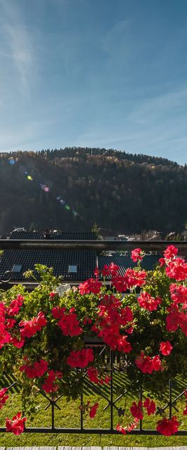 Dom na Zielonym Wzgórzu Szczawnica 