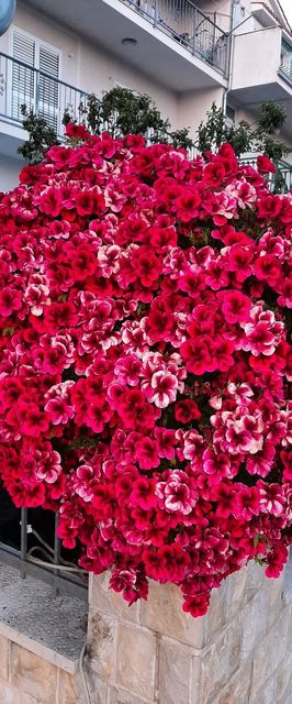 Apartments Jopa Vodice