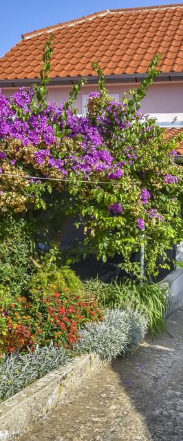 House Panula Mali Iz