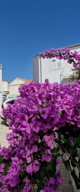 House Miamare Primosten