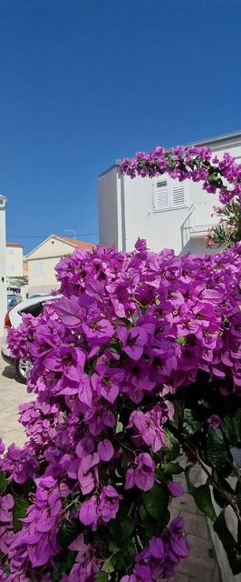 House Miamare Primosten