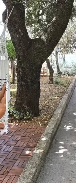 Apartments Marinic Stara Novalja