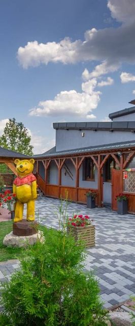 Willa Puchatek Szklarska Poręba