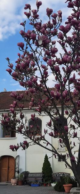 Bagolyvár  Vendégház Tállya