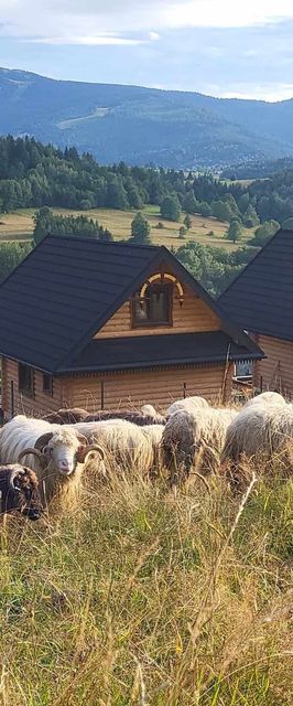 Chaty pod Pilskiem Krzyżówki