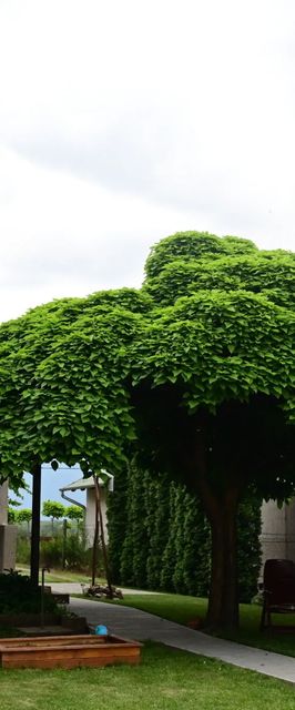 Körös Körül Vendégház Öcsöd