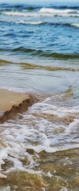 Dom Wczasowy Złota Rybka Krynica Morska