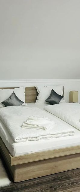 Casa Potcovarului Drăguș