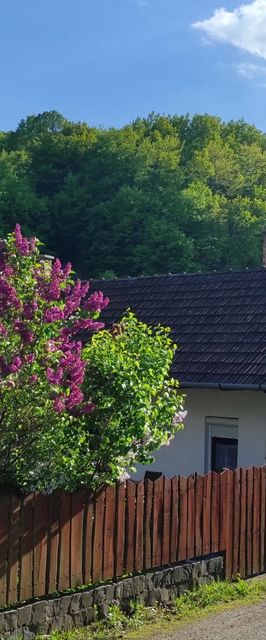 Mókusles Vendégház Háromhuta