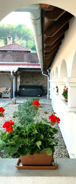 Fehér Galamb Vendégház Tolmács