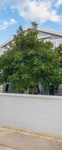 Apartments Kosic Vir II