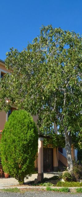 Apartments Anton D. Malinska