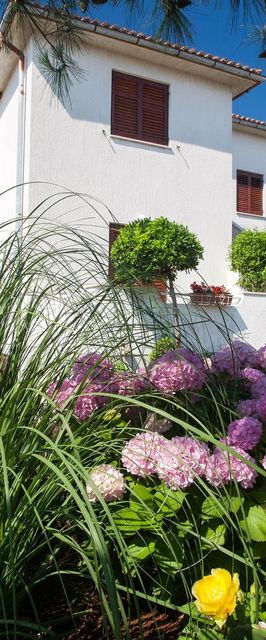 Apartment Smiljana Krk