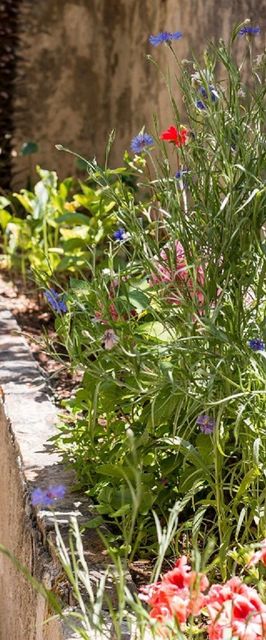 Apartments IVNA Veli Losinj