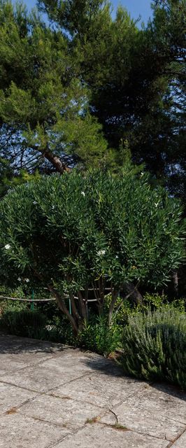 Apartments Hana Krk II