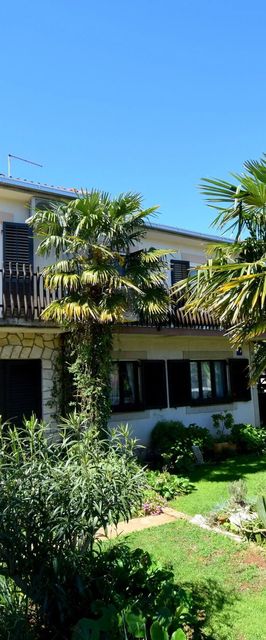 Apartment Potnar M. Malinska