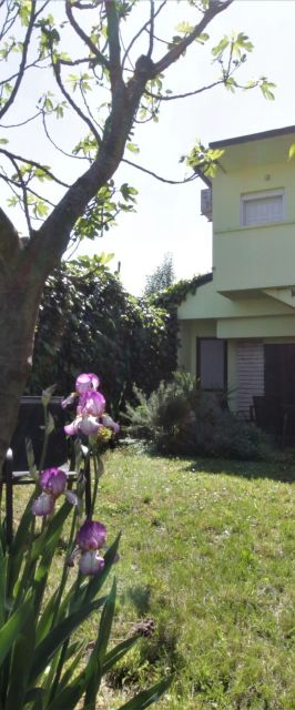 Apartment SEA STAR Umag