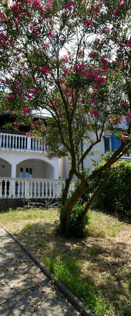 Apartment Pesja Omisalj