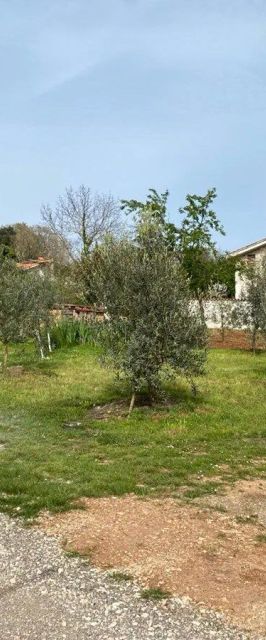 Casa Orangina Medulin