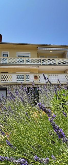 Apartment Rozi with Sea View Silo