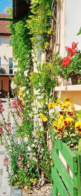 Dom Gościnny Guliwer Niechorze