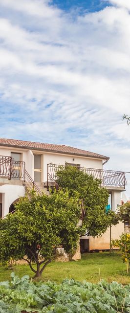 Apartments and Room LUCIANA Savudrija Zambratija