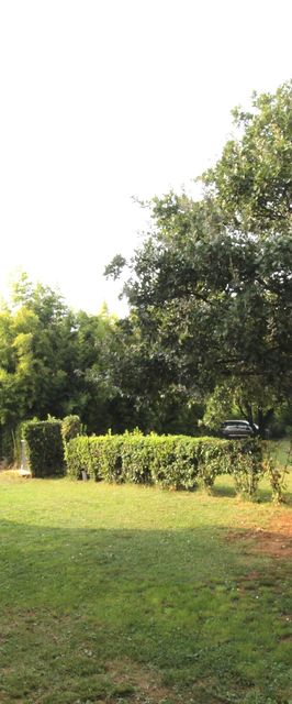 Apartments Noel Zambratija