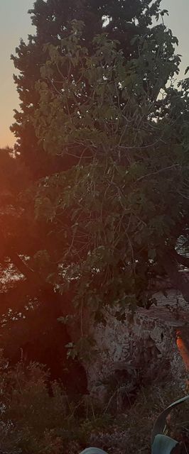 Apartmanok A Tenger Mellett Podaca, Makarska - 19078 Podaca