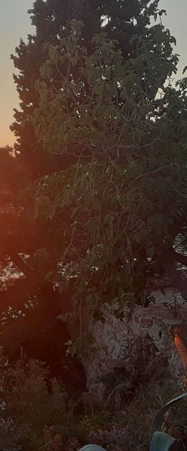 Apartmanok A Tenger Mellett Podaca, Makarska - 19078 Podaca