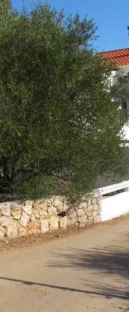 Apartmanok A Tenger Mellett Zdrelac, Pasman - 20583 Ždrelac