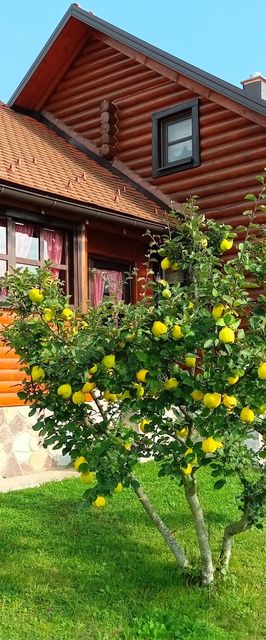 Ház Családok Részére Parkolóhellyel Otocac, Velebit - 20654 Otočac