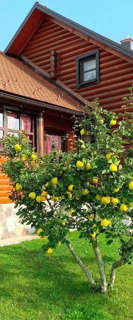 Ház Családok Részére Parkolóhellyel Otocac Velebit - 20654 Otočac