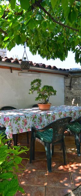 Apartmanok Parkolóhellyel Kukci, Porec - 20797 Kukci