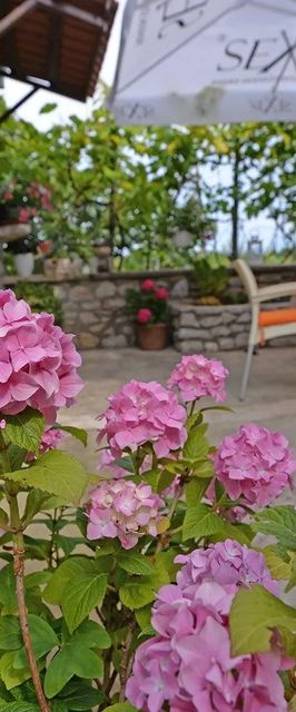 Apartmanok Parkolóhellyel Veli Losinj, Losinj - 21185 Veli Lošinj