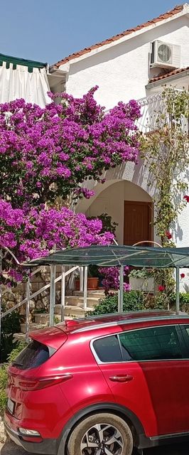 Apartmanok Parkolóhellyel Sutivan, Brac - 21426 Sutivan