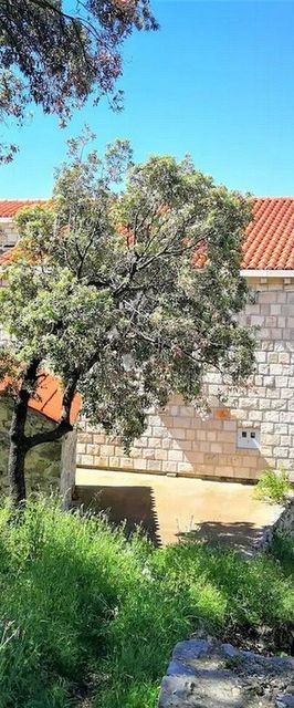 Apartmanok Parkolóhellyel Babino Polje, Mljet - 22323 Babino Polje