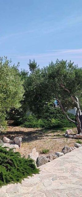 Apartmanok A Tenger Mellett Barbat, Rab - 22561 Barbat