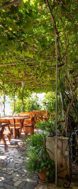 Apartments Lucy Kuciste